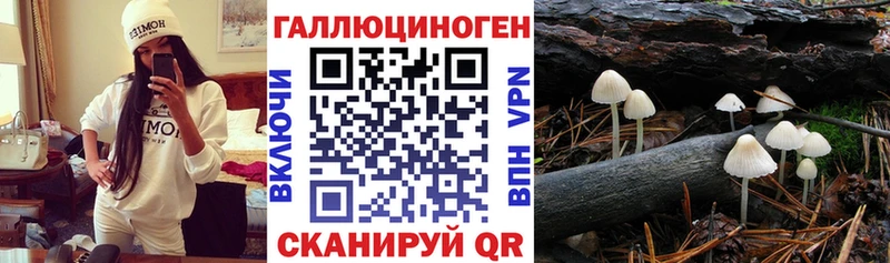 Галлюциногенные грибы прущие грибы  Купить где  Сасово 
